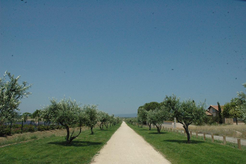 Vacanceole - Port Minervois, Les Hauts Du Lac Homps  Eksteriør bilde